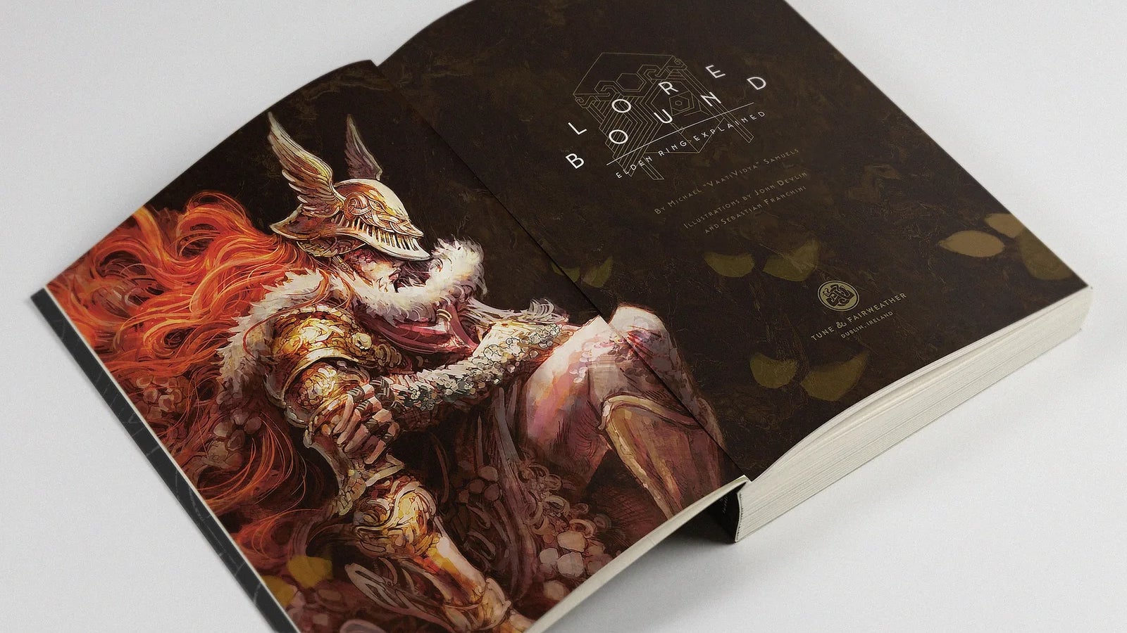 Image of VaatiVidya's book Lore Bound opened up
